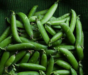 crop-img7